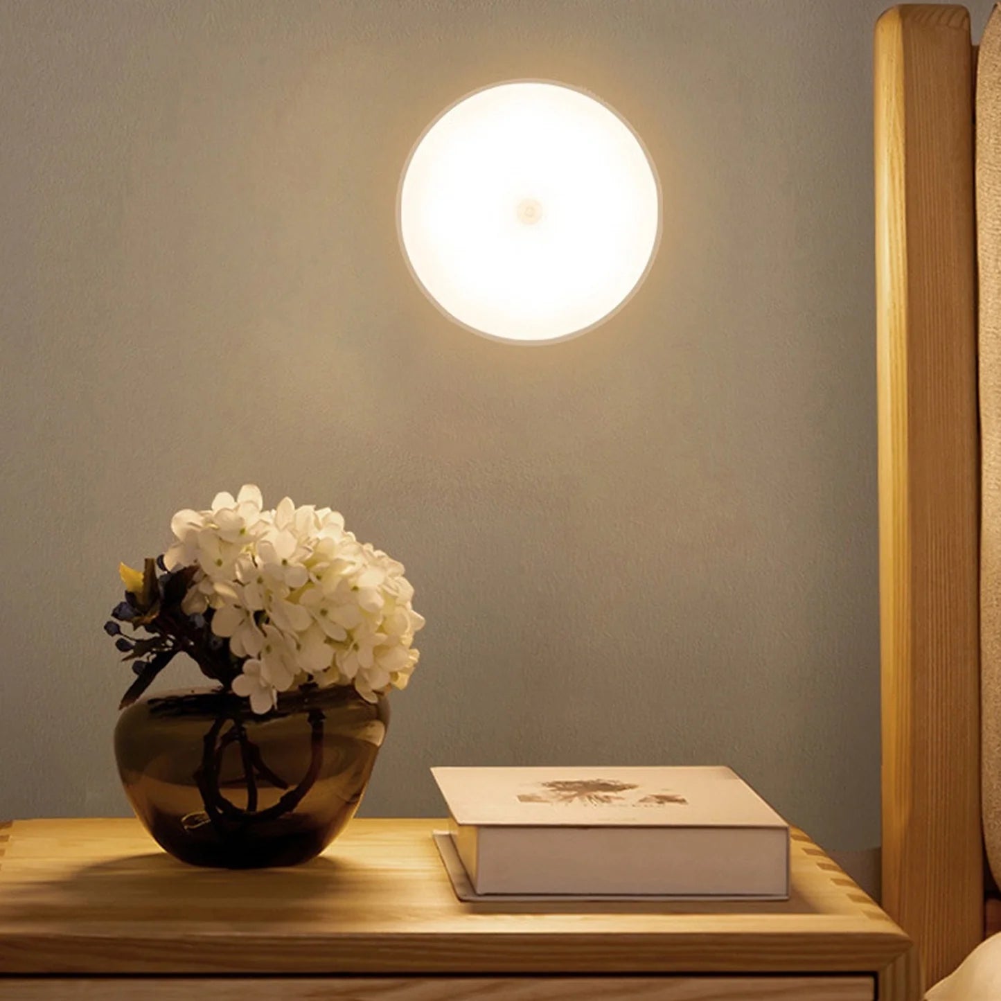 Intelligent Induction Lamp