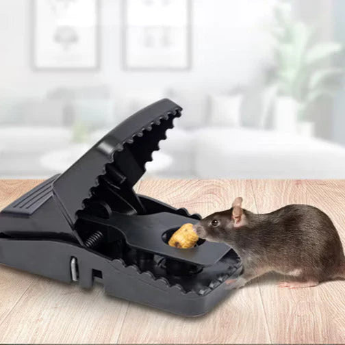 Plastic Mouse Trap